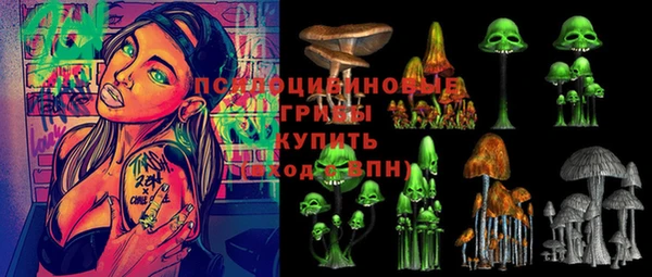 прущие крисы Абдулино