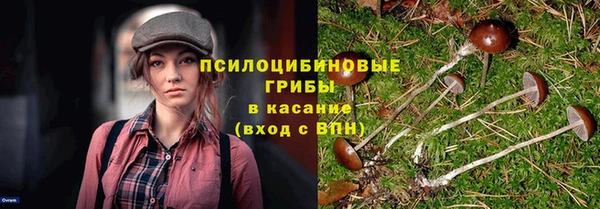 а пвп мука Абаза