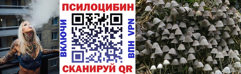 что такое наркотик  Томари  Псилоцибиновые грибы MAGIC MUSHROOMS 