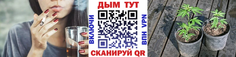 Шишки марихуана индика  Томари 